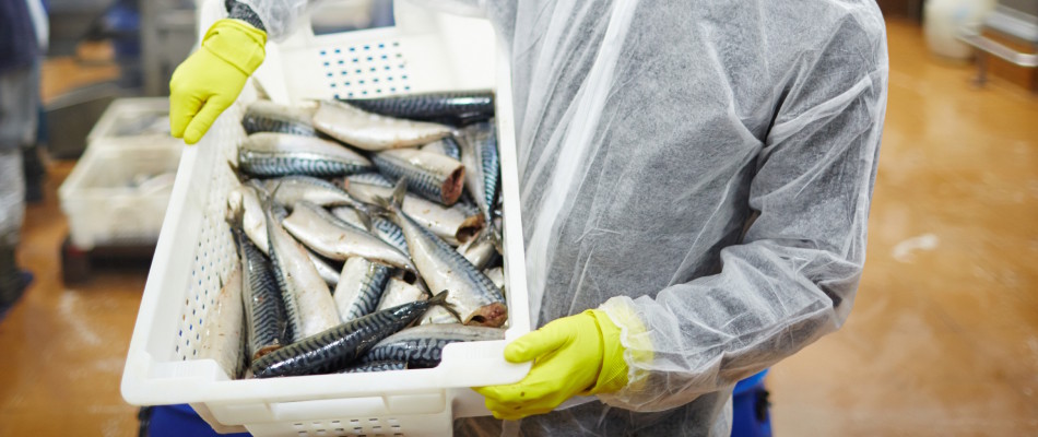 Food and Beverages (FNB) Flooring & Coatings