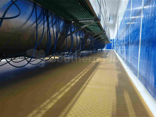  Happy Egg Teo Seng Capital