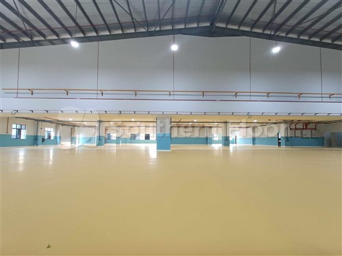 Ice Cream Waffle Manufacturer - Admiral