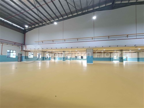 Ice Cream Waffle Manufacturer - Admiral